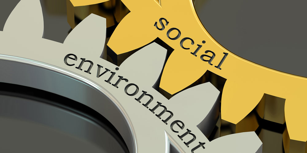 What is a Social Impact Ecosystem?